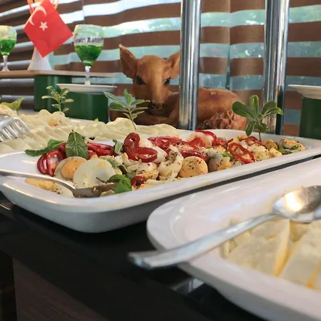 Ξενοδοχείο Hawaii Αλάνια